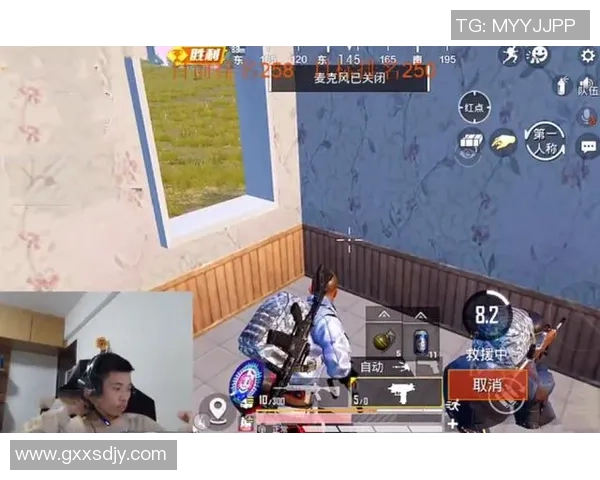 和平精英专题深度解析JDG战队的实力与战术优势